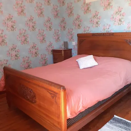 Maison Independante, Parc Arbore, Proche Du Puy Mary - Fr-1-742-619 Holiday home